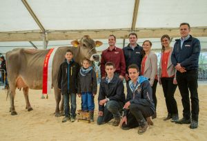 Champion Jongleur Joya